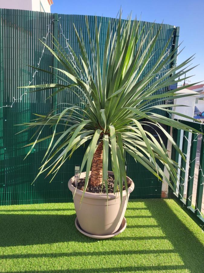 Maravillas De Tenerife Abades  Zewnętrze zdjęcie